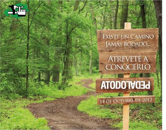 EXISTEN CAMINOS JAMAS RODADOS....