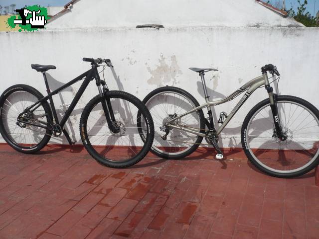 29er...plan "A" Specialized, plan "B" Singe Speed