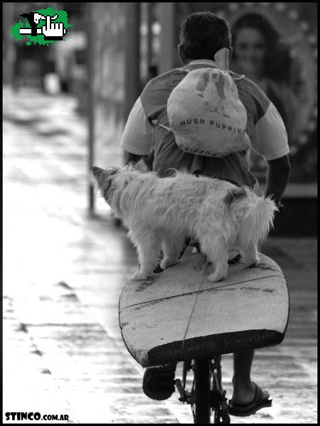de paseo II