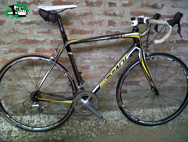 Scott ruta carbono clearance