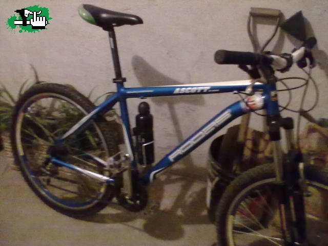 Raleighm40