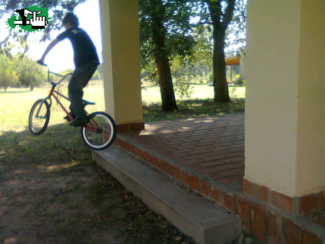  mi bunny va mejorando 