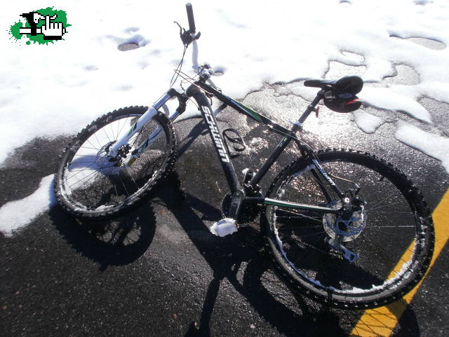 Schwinn congelada pero intacta