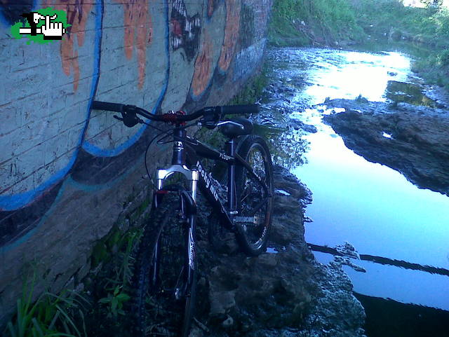 mi rocky, en el arrollo 