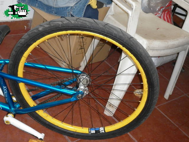 ayrton_downhill