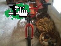 Mi Gauchita
