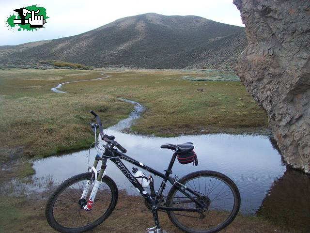 GIANT ATX 7, REGRESO AL CAMPO