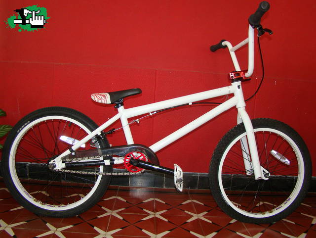 gaston5343476