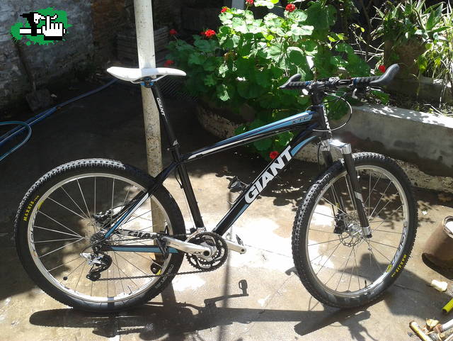 mi compaera