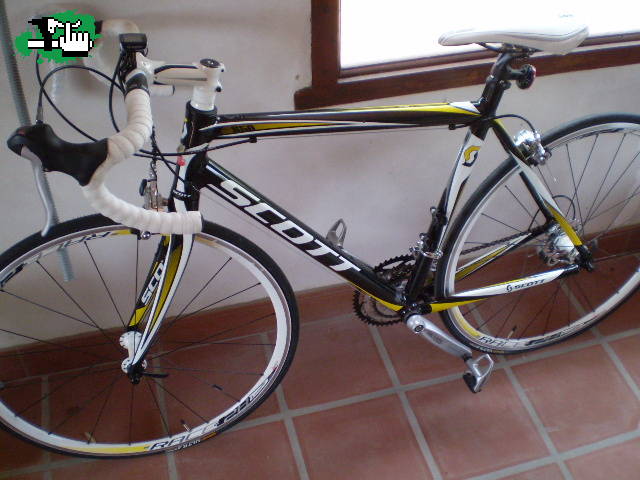 ALEPOGGIO
