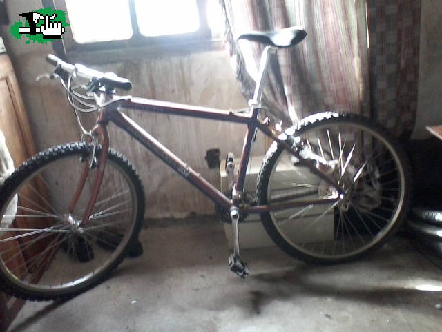 RALEIGH m-400