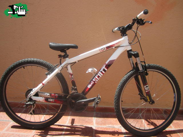 martin503