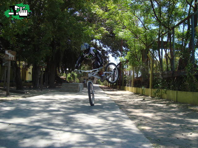 manual invertido