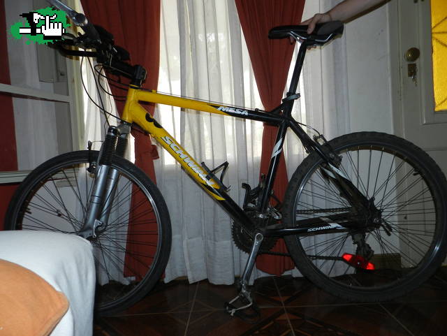 Schwinn