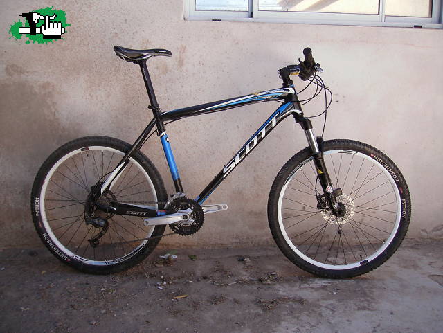 scott scale 80