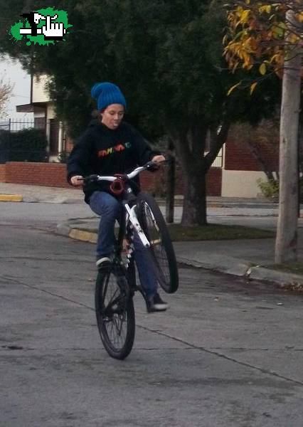 whillie o como se escribaa