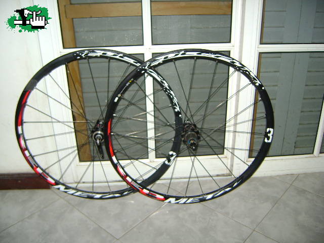 DANI130