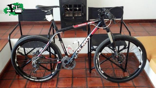 Olmo XC