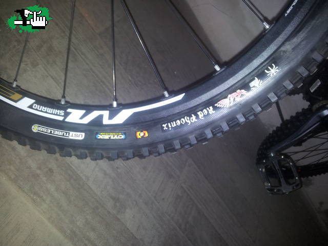 Nueva cubierta Tioga para la Scott