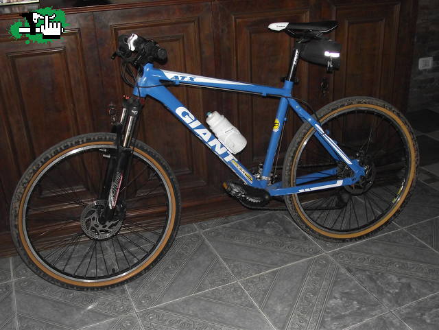 La celeste...