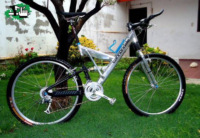 BIKES-FREERIDE