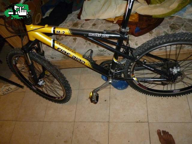 mi negra