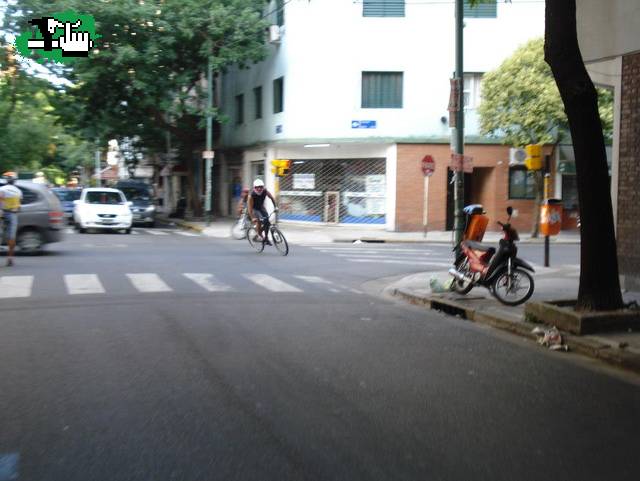 3° ALLEY CAT PORTEÑO