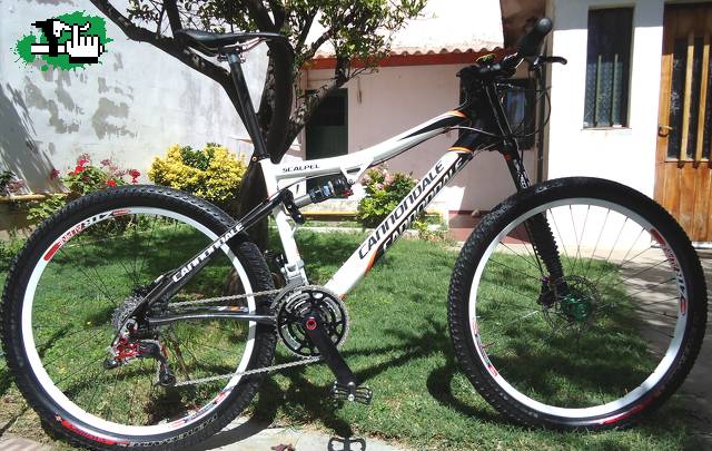 BIKES-FREERIDE