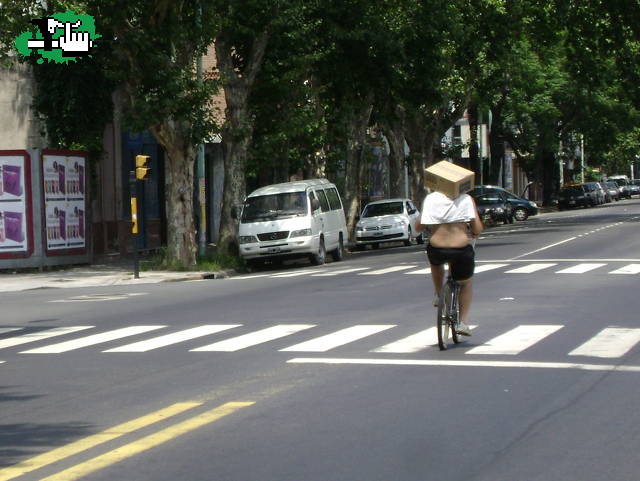 CASCO ?