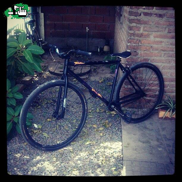 MOROCHA FIXED