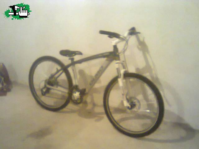 Alguien me dice si con esta bici puedo hacer dirt jump?