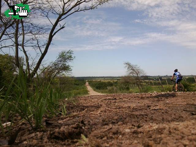 Salida solitaria