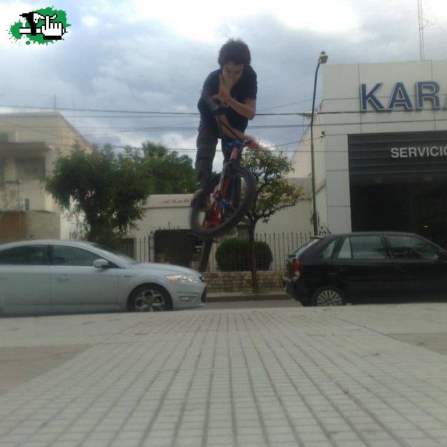 Bars y check