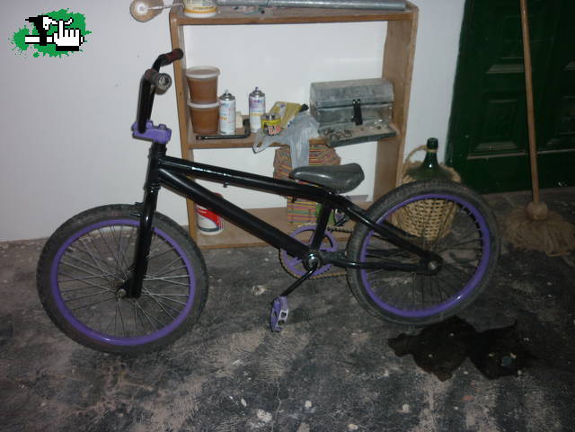 pintada mas adquis