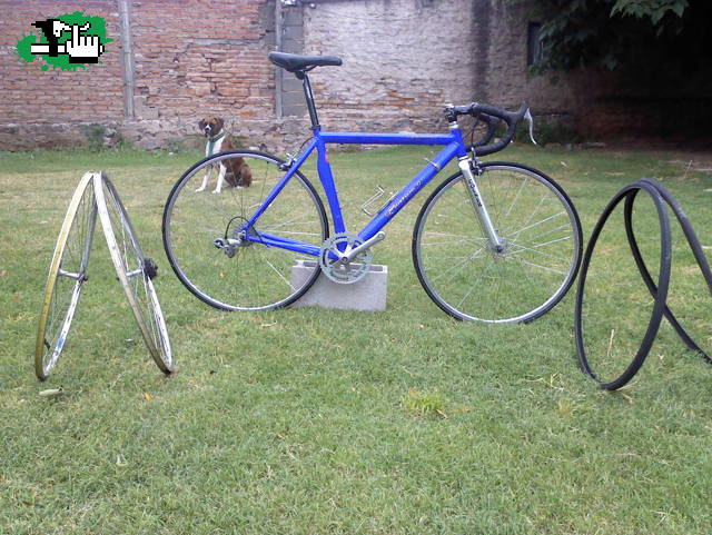 lautaro_racing