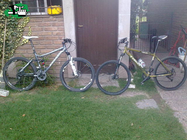 Mis Bichitos!