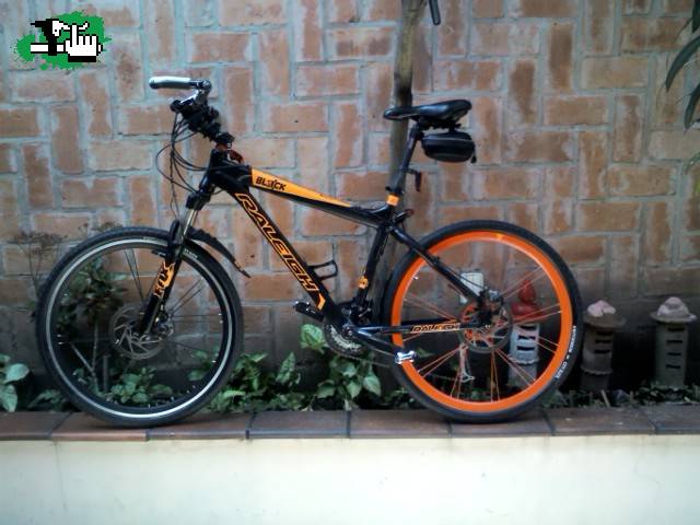 mi RALEIGH personalizada 