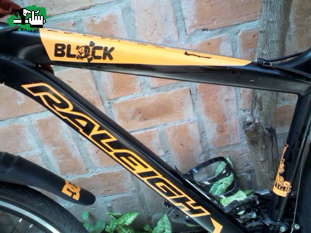 mi RALEIGH