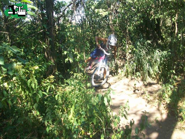 Freeride los monos 