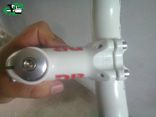 gaston686