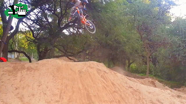 whip