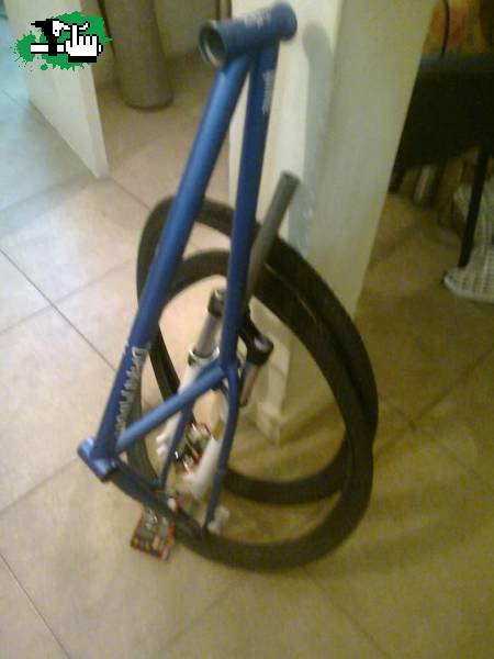 Mi nuevo bebe.. "Dartmoor"