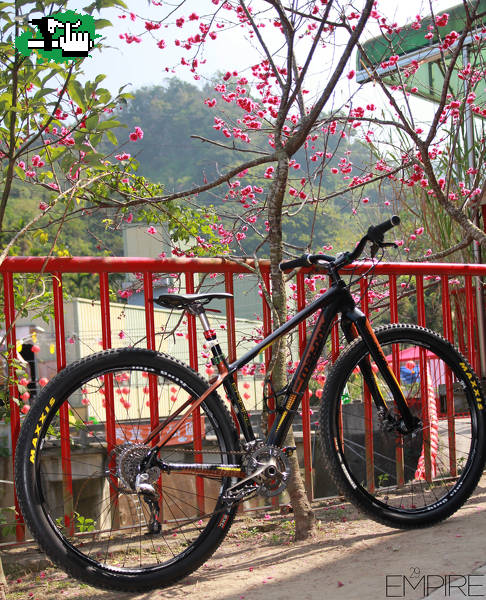 Mac Mahone mountain bikes V.S Taichung Tai Hang Choshui Lane Private oriental cherry forest°