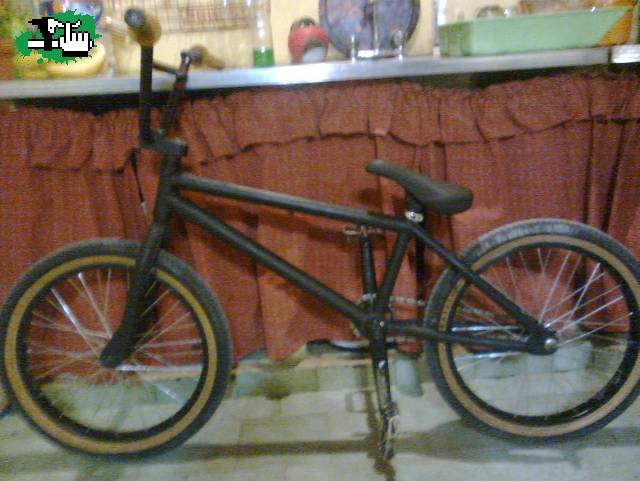 bike check 2013
