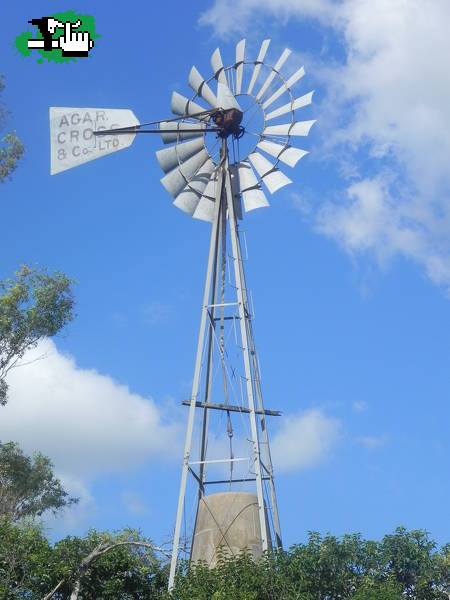 COLONIA HANSEN