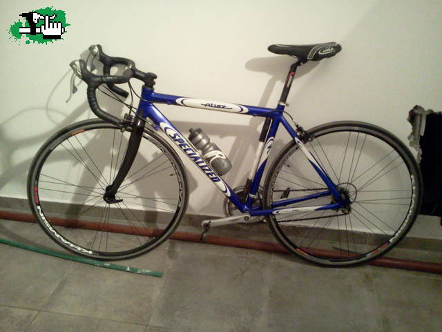 La nueva compañera!