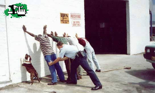 todos contra la pared