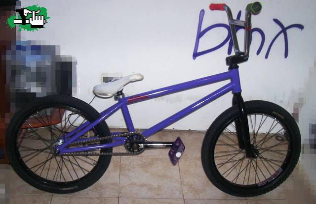 Bike Check- 