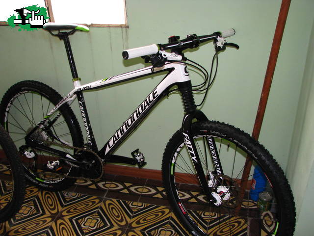 APOLO87