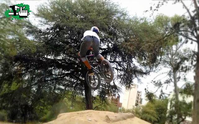 x-up de whip
